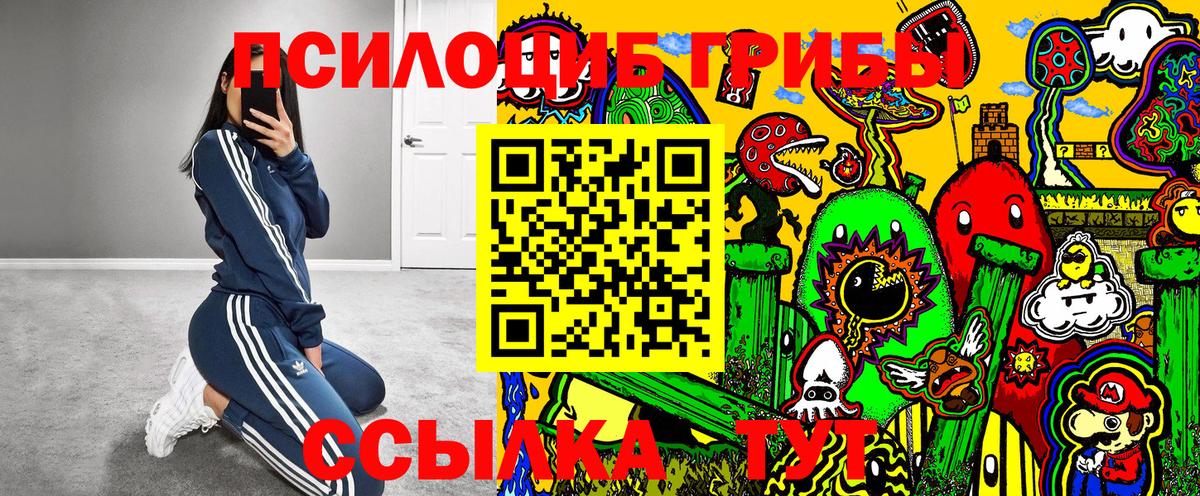 Ачинск  Псилоцибиновые грибы Psilocybe  Галлюциногенные грибы Magic Shrooms  Вход с VPN 
