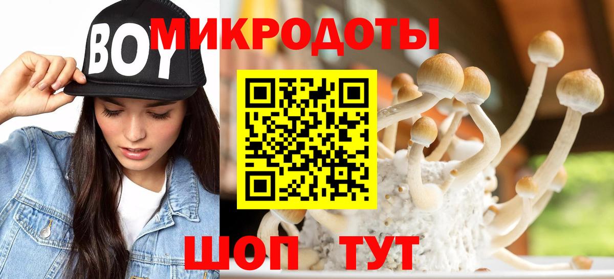 Псилоцибиновые грибы Psilocybine cubensis Ачинск